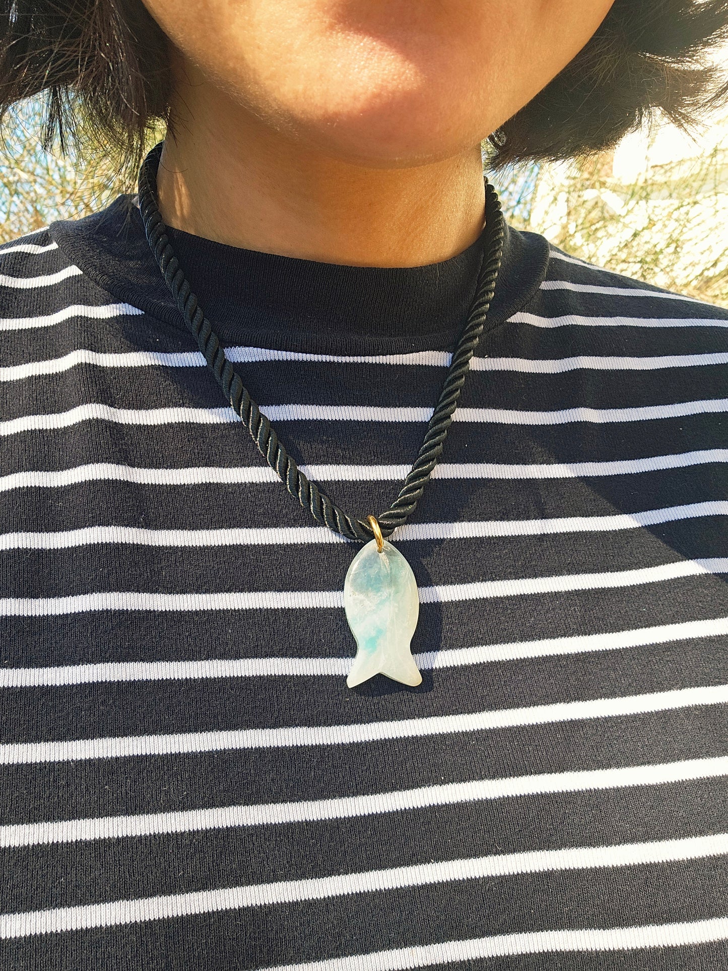 Amazonite fish