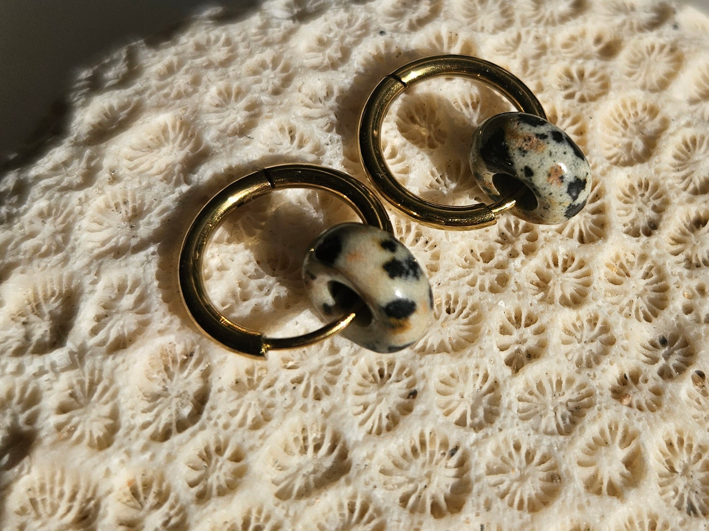 Natural dalmatian jasper hoop earrings