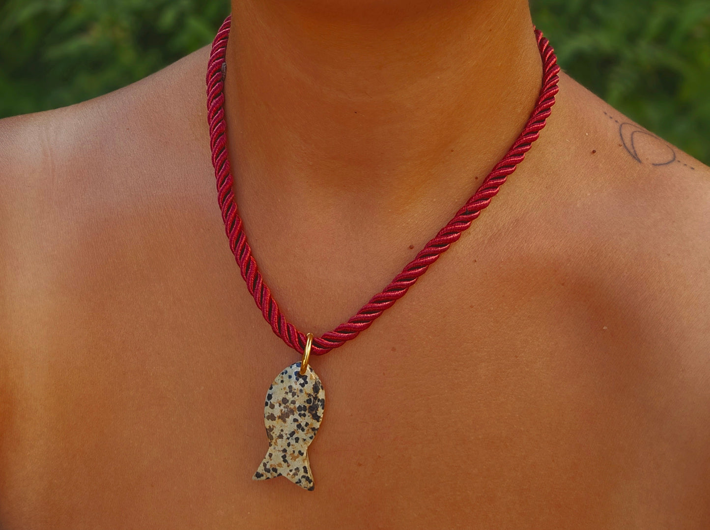 Red dalmation